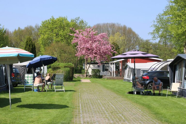 Camping Delftse Hout - Bild 3