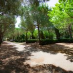 Le Gorette Cecina Easy Camping Village - Bild 1