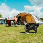 Camping Den Molinshoeve - Bild 2