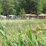 Camping Des Étangs - Bild 14