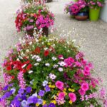 Camping Des Étangs - Bild 9