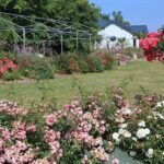 Camping Des Hautes Grées - Bild 5