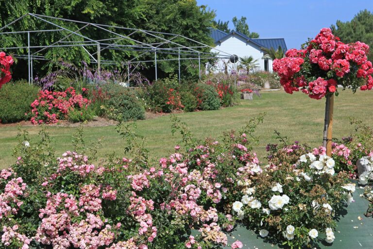 Camping Des Hautes Grées - Bild 5