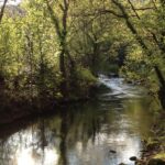 Camping Des Sources - Bild 5