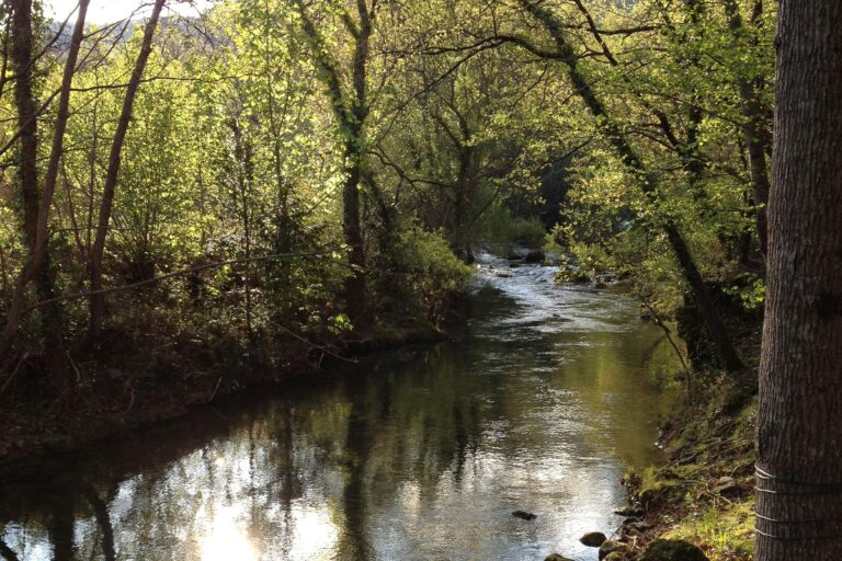 Camping Des Sources - Bild 5