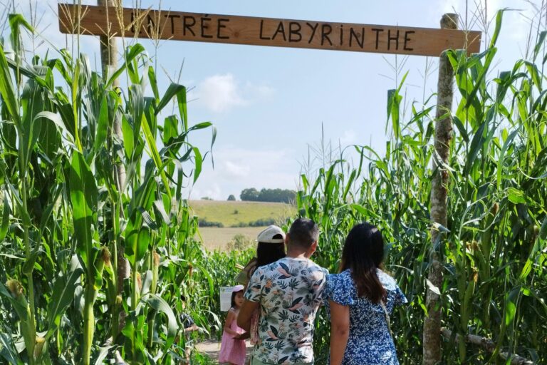 Camping Des Tourbières - Bild 8