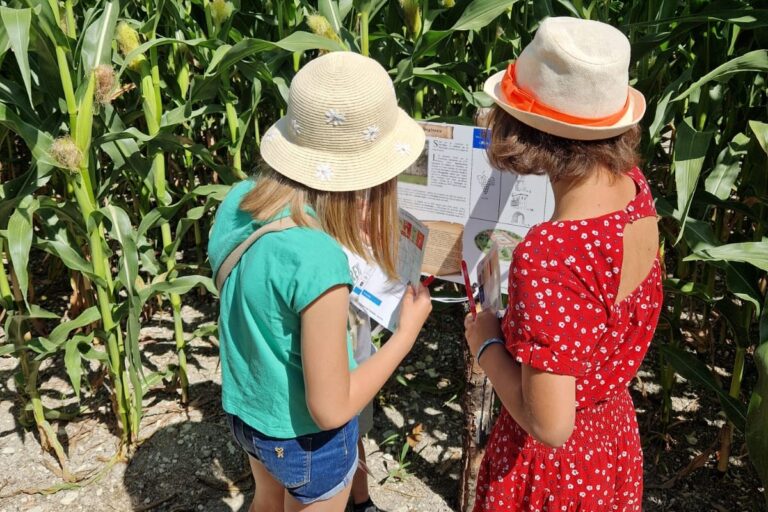 Camping Des Tourbières - Bild 9