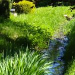 Camping Dörpen - Bild 10