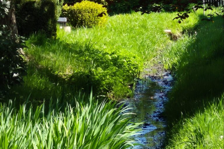 Camping Dörpen - Bild 10