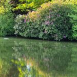 Camping Dörpen - Bild 2