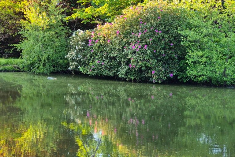 Camping Dörpen - Bild 2