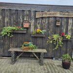 Camping Dörpen - Bild 5