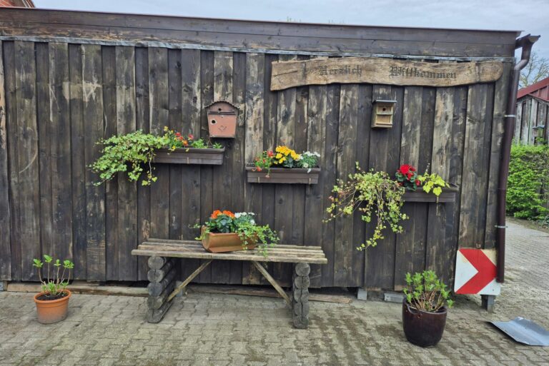 Camping Dörpen - Bild 5