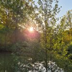 Camping Dörpen - Bild 8