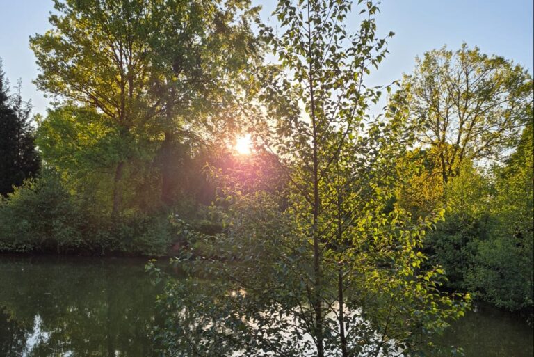 Camping Dörpen - Bild 8