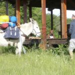 Camping Domaine De Corneuil - Bild 7