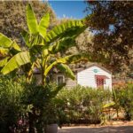 Camping Domaine De Gajan - Bild 2 Camping Domaine De Gajan - Bild 2