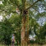 Camping Domaine De Kervallon - Bild 7 Camping Domaine De Kervallon - Bild 7