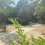 Camping Domaine Des Bords De Cèze - Bild 18