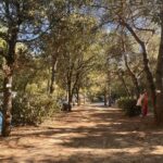 Camping Domaine Des Bords De Cèze - Bild 4