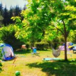 Camping Domaine La Chabanne - Bild 10