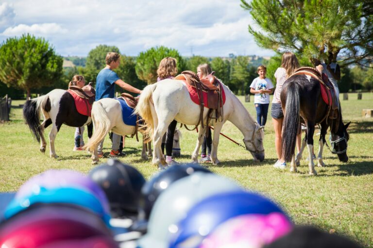 Camping Domaine La Garenne - Bild 15 Camping Domaine La Garenne - Bild 15