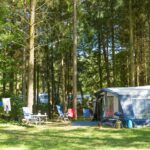 Camping Domaine La Garenne - Bild 20 Camping Domaine La Garenne - Bild 20