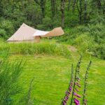 Camping Drei Spatzen - Bild 17