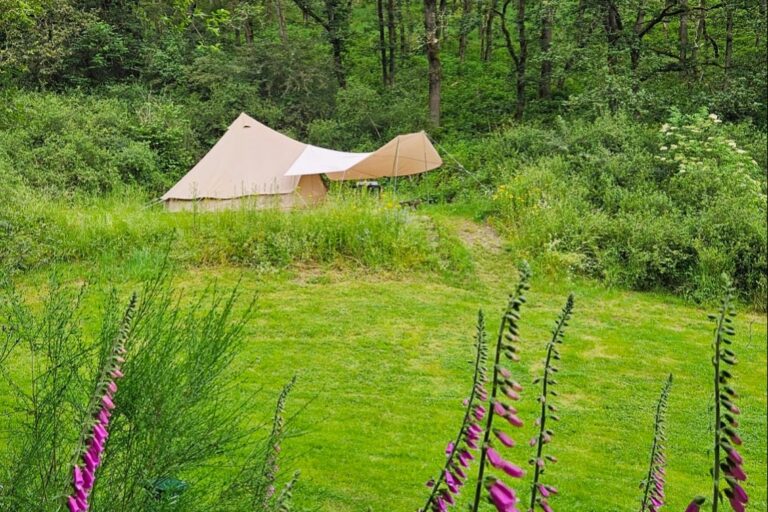 Camping Drei Spatzen - Bild 17