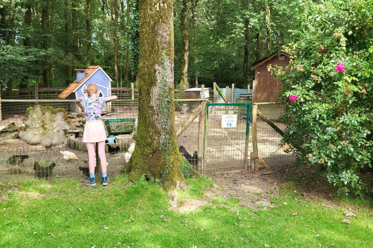 Camping Du Bois De Beaumard - Bild 8 Camping Du Bois De Beaumard - Bild 8