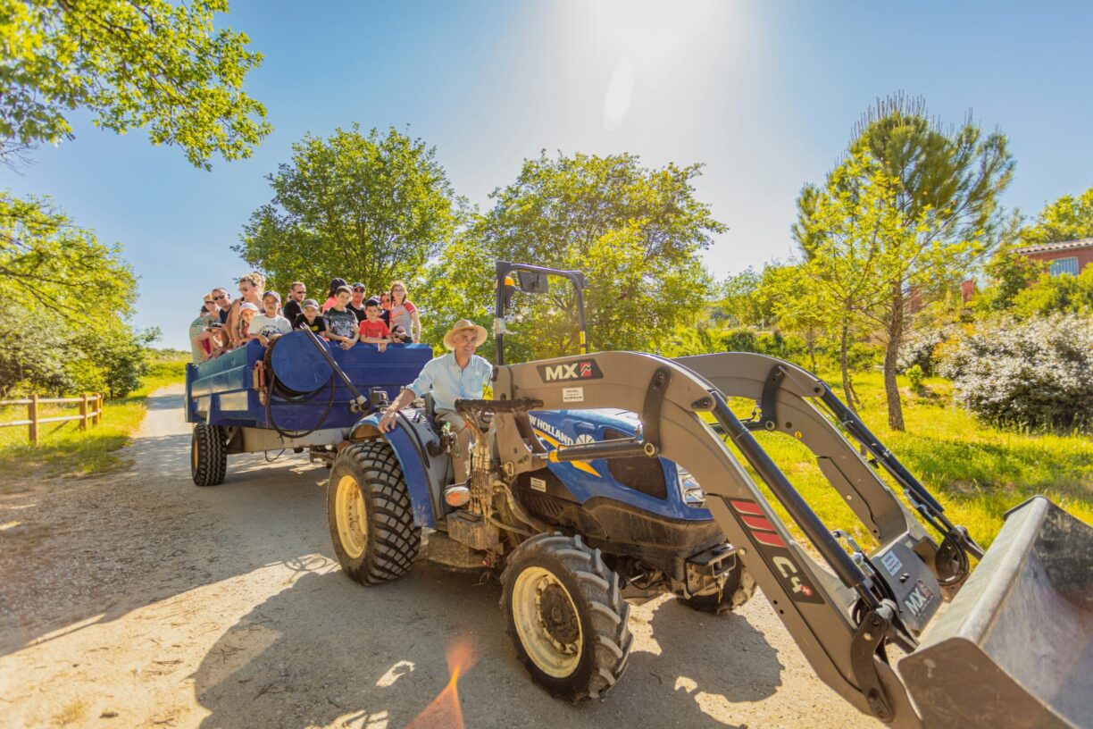 Camping Du Domaine D'anglas - Bild 10 Camping Du Domaine D'anglas - Bild 10