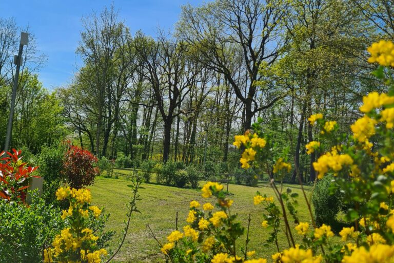 Camping Du Perche - Bild 13