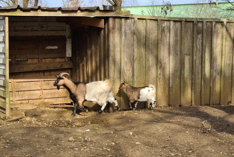 Camping Du Perche - Bild 15