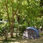Camping Du Pont D'avignon - Bild 16
