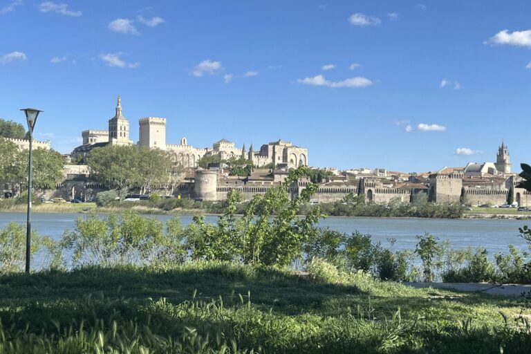 Camping Du Pont D'avignon - Bild 19