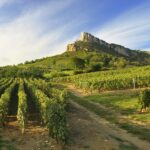 Camping Du Pont De Bourgogne - Bild 3 Camping Du Pont De Bourgogne - Bild 3