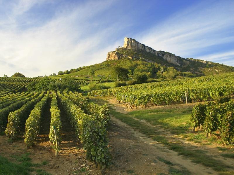 Camping Du Pont De Bourgogne - Bild 3 Camping Du Pont De Bourgogne - Bild 3