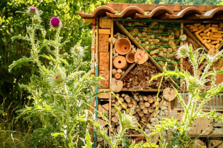 Camping Du Pont De Braye - Bild 4