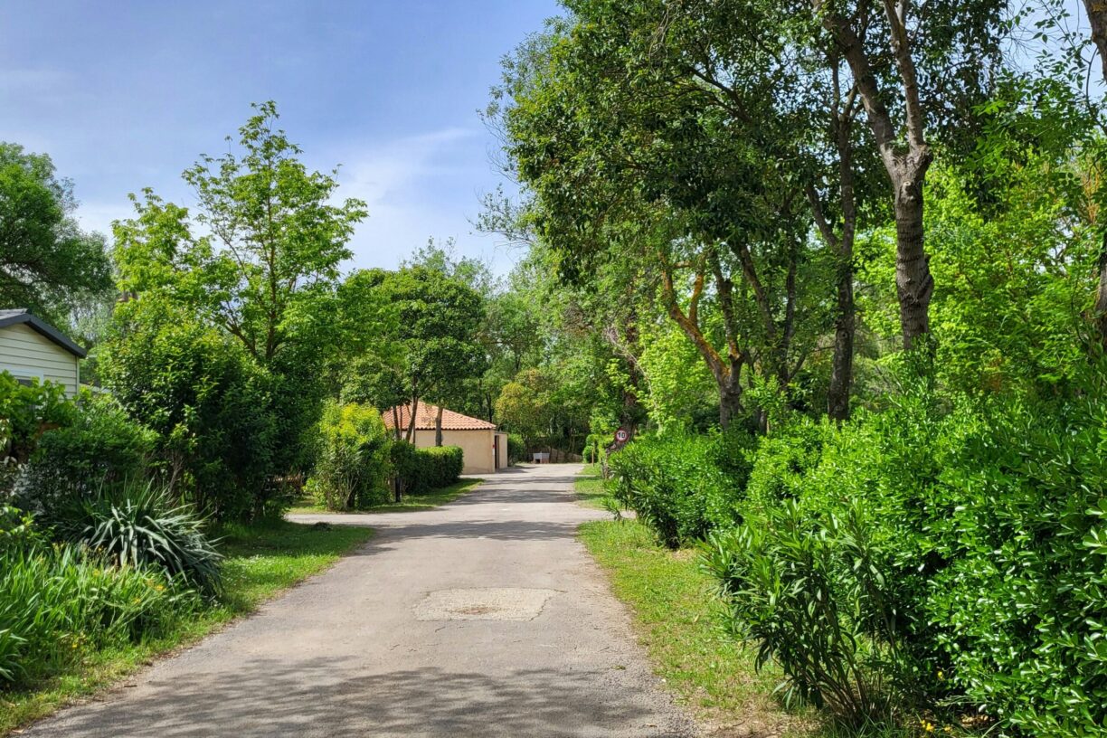 Camping Du Val De Cesse - Bild 3 Camping Du Val De Cesse - Bild 3