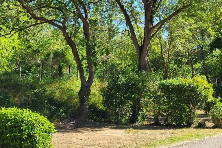 Camping Du Val De Cesse - Bild 9 Camping Du Val De Cesse - Bild 9