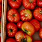 Camping Du Vignal - Bild 20