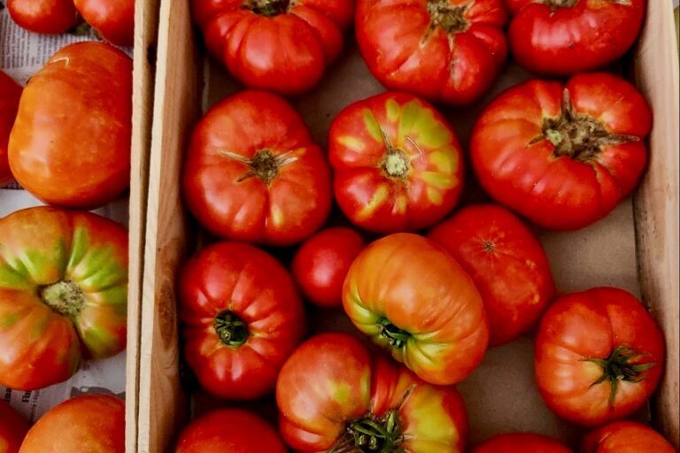 Camping Du Vignal - Bild 20