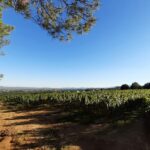 Camping Du Vignal - Bild 6