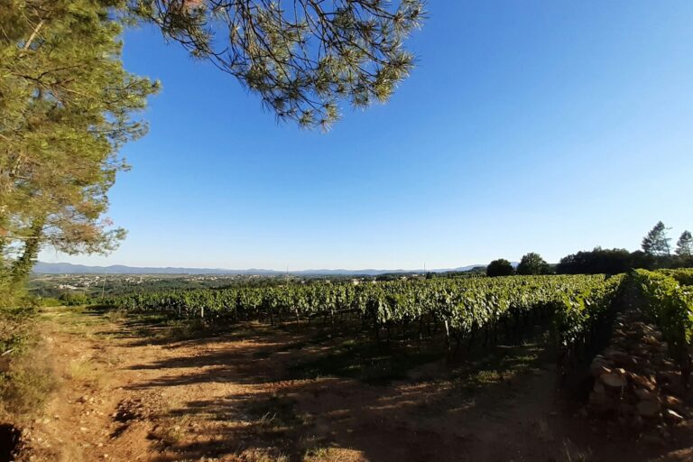 Camping Du Vignal - Bild 6