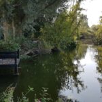 Camping Du Vivier Aux Carpes - Bild 13 Camping Du Vivier Aux Carpes - Bild 13