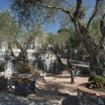 Camping Edy - Bild 6