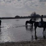 Camping Eefting - Bild 5