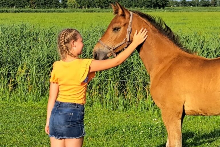 Camping Eefting - Bild 6