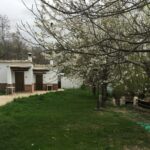 Camping El Balcón De Pitres - Bild 2 Camping El Balcón De Pitres - Bild 2