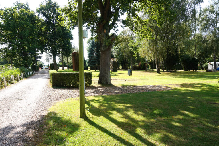 Camping Elbeling - Bild 12